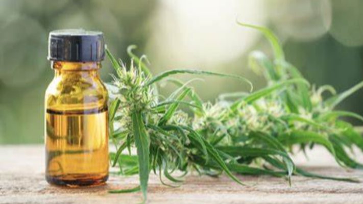 Cannabidiolo di estrazione vegetale
