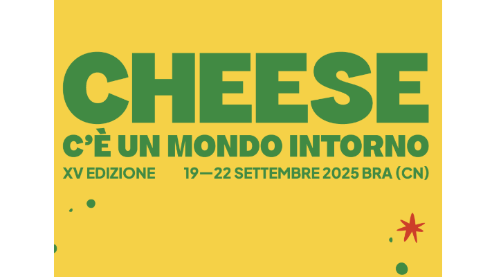 Cheese 2025 Bra
